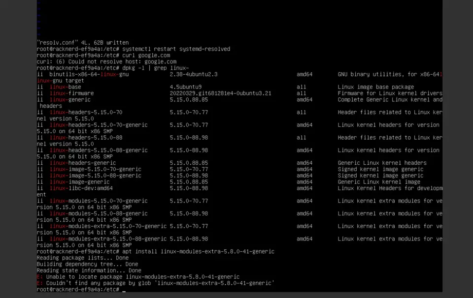 New kernel VPS can&rsquo;t connect to network