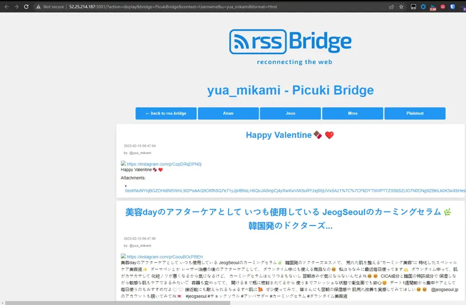 aws rssbridge的picuki工作正常